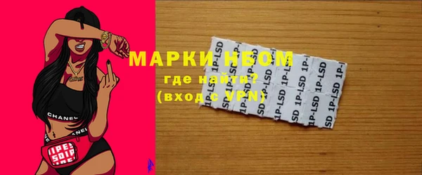 хмурый Вяземский
