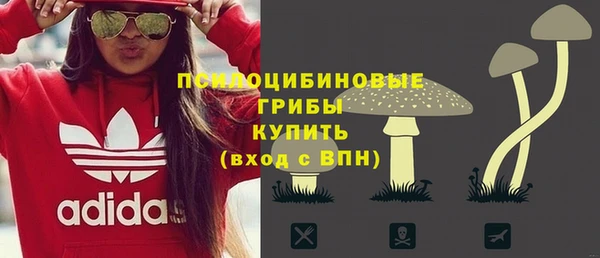 ешки Володарск