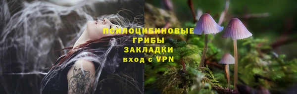 дурь Волоколамск