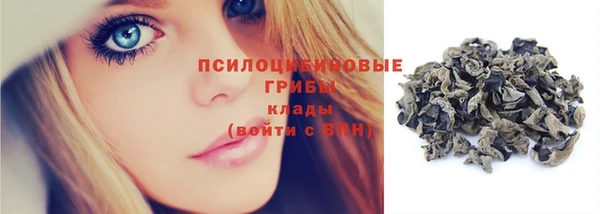 хмурый Вяземский