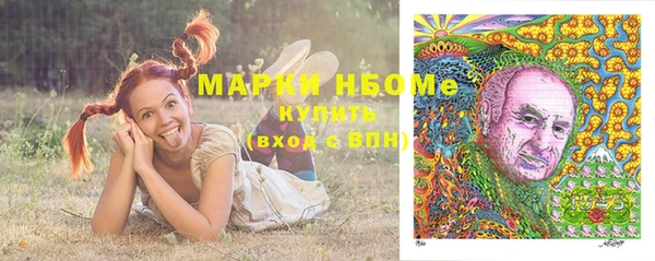 стафф Вязьма
