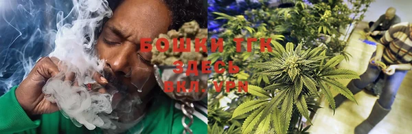PSILOCYBIN Волосово