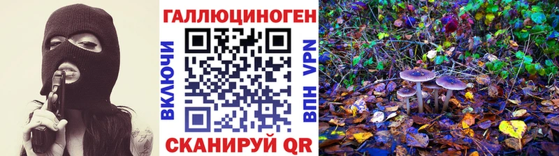 Купить где  Ханты-Мансийск  Псилоцибиновые грибы Magic Shrooms 